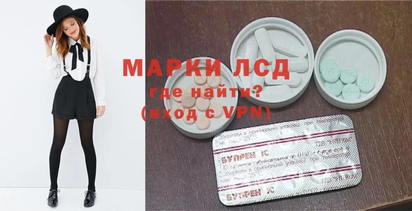 a pvp Бородино