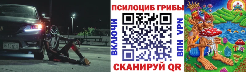 Псилоцибиновые грибы мухоморы Купить Нестеров